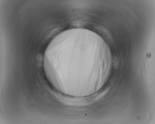 X0000090630036200708141444