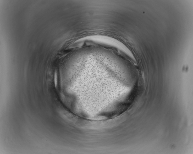 X0000090630037200708141443