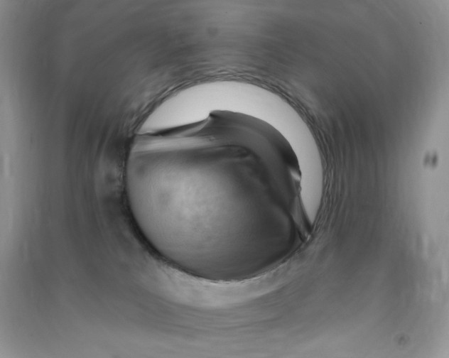 X0000090630039200708141443