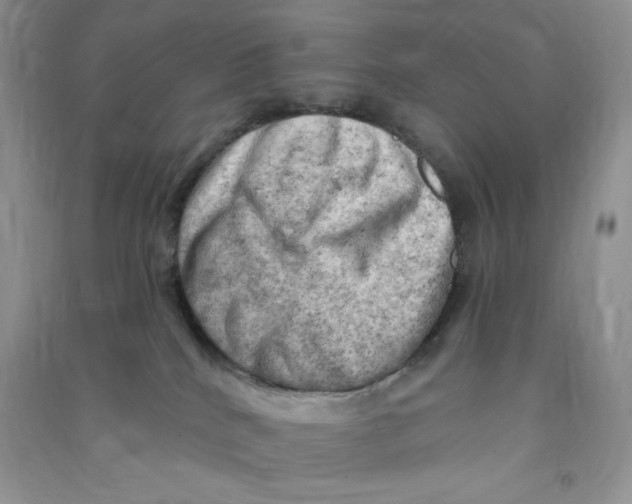 X0000090630040200708141443