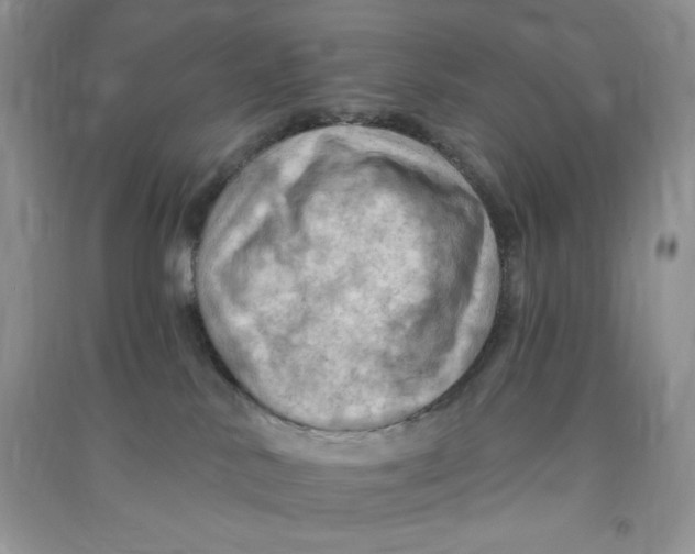X0000090630042200708141443