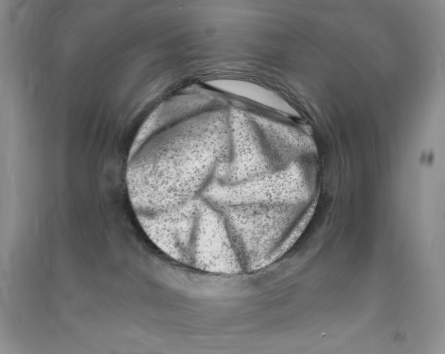 X0000090630044200708141443