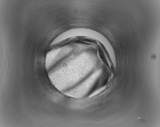 X0000090630045200708141443