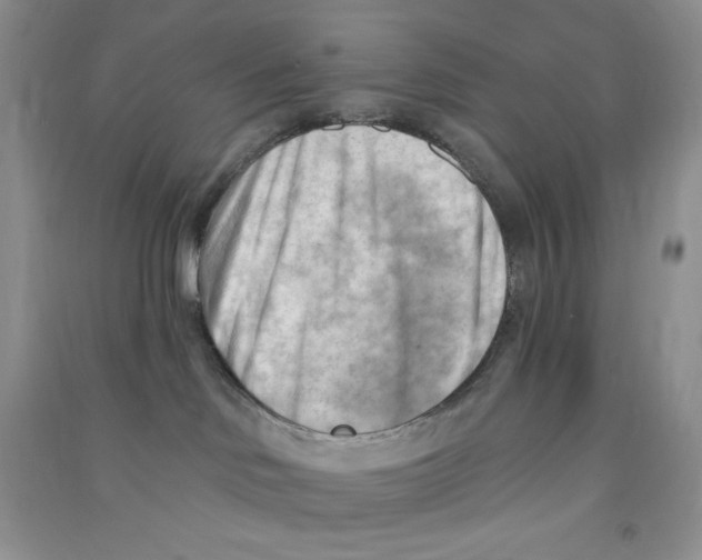 X0000090630046200708141443