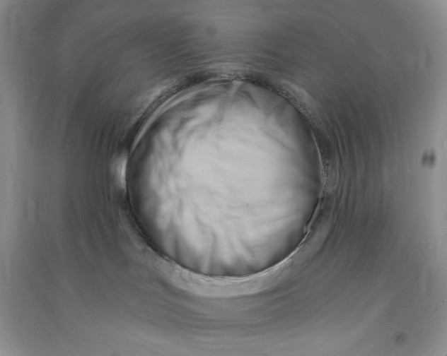 X0000090630047200708141443