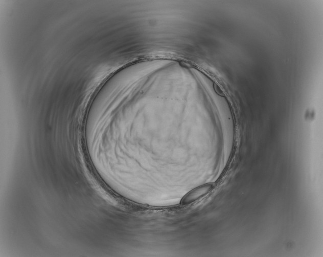 X0000090630049200708141443