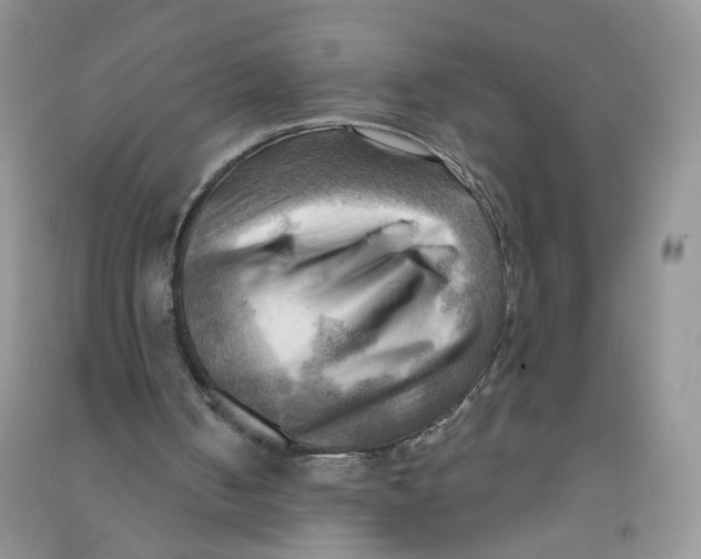 X0000090630050200708141443
