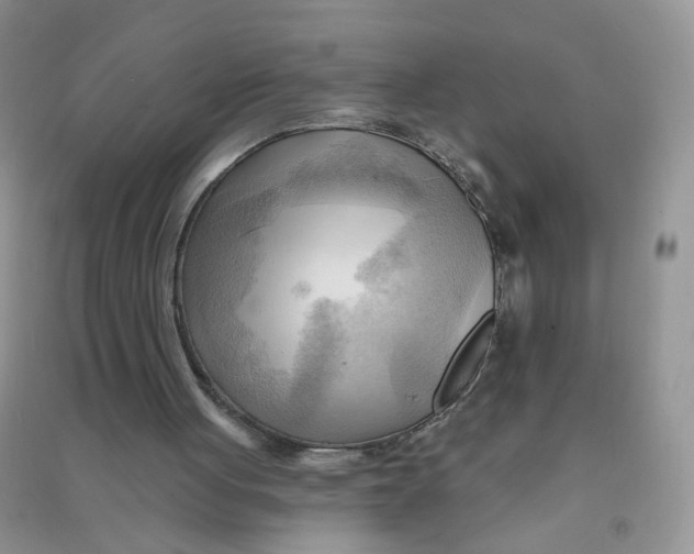 X0000090630051200708141443