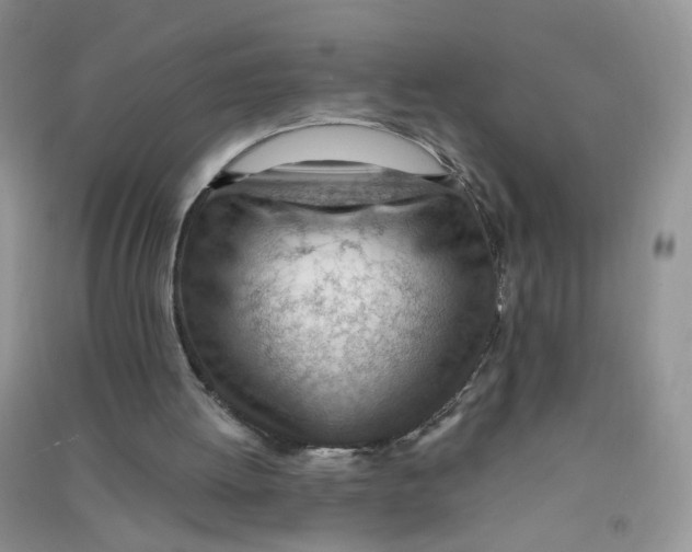 X0000090630052200708141443
