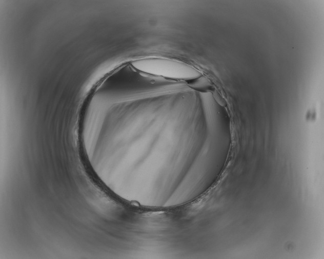 X0000090630054200708141443