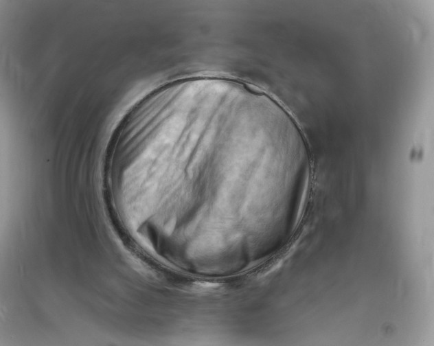 X0000090630055200708141443