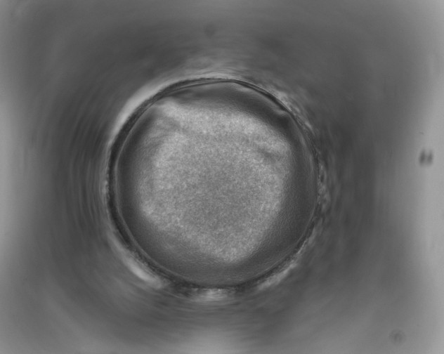 X0000090630056200708141443