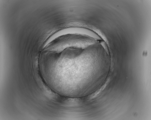 X0000090630057200708141443