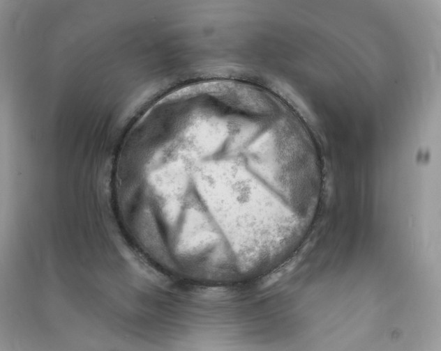 X0000090630058200708141443