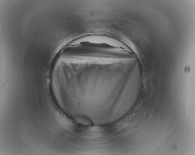 X0000090630059200708141443