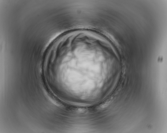 X0000090630060200708141443