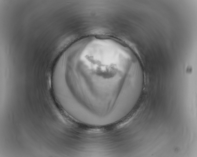 X0000090630061200708141443