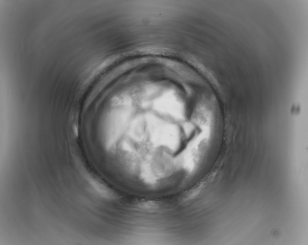 X0000090630062200708141443