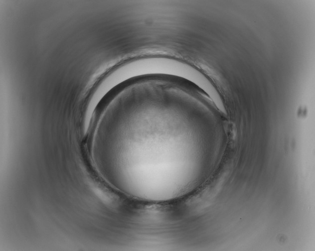 X0000090630064200708141443