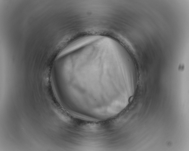 X0000090630065200708141443