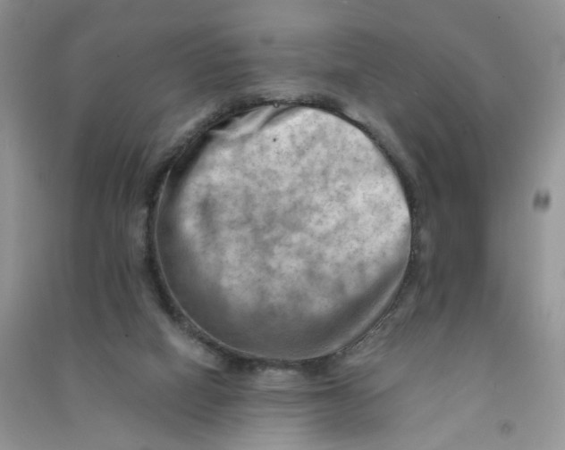 X0000090630066200708141443