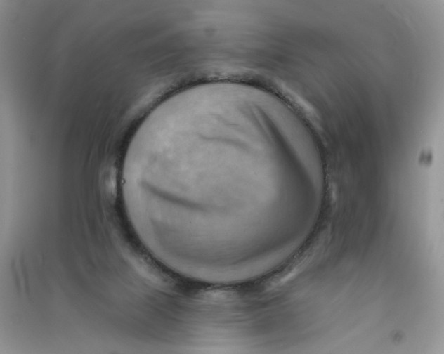 X0000090630067200708141443