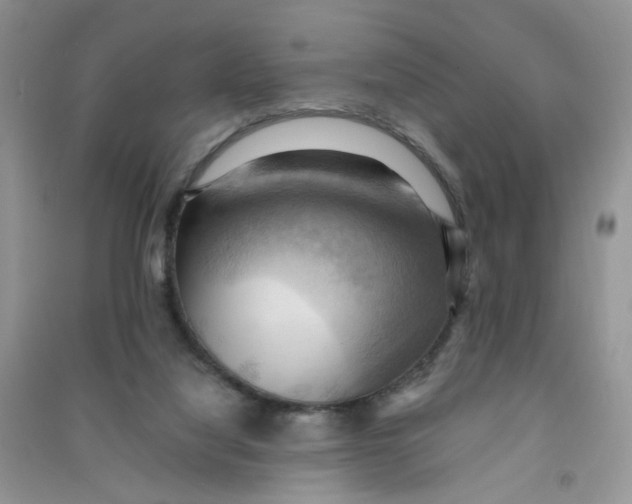 X0000090630068200708141443