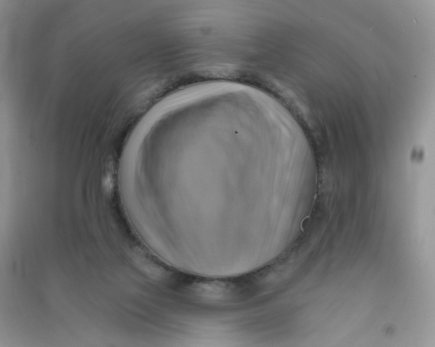 X0000090630069200708141443
