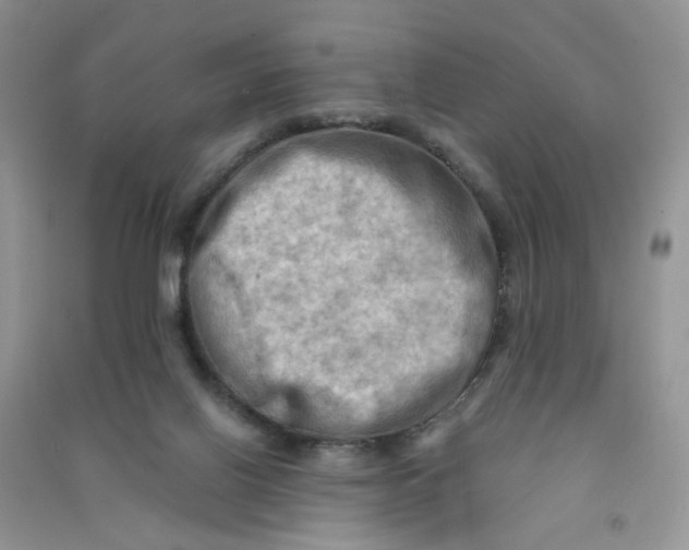 X0000090630070200708141443