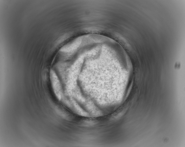 X0000090630071200708141443