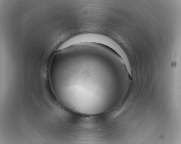 X0000090630072200708141443