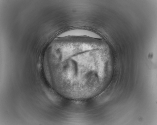 X0000090630074200708141443