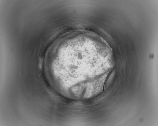 X0000090630075200708141443