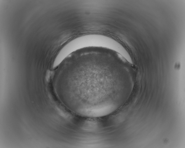 X0000090630076200708141443