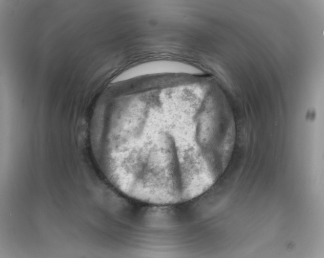 X0000090630077200708141443
