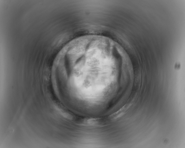 X0000090630078200708141443