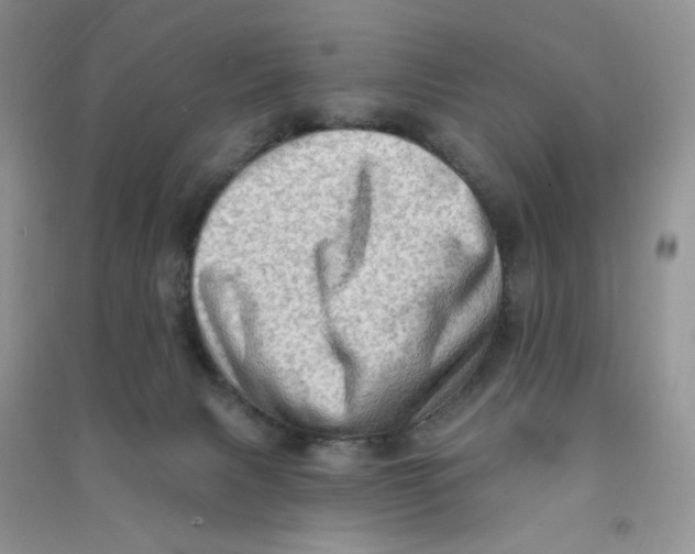 X0000090630079200708141443