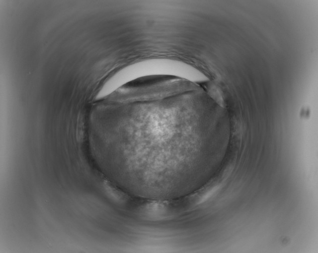 X0000090630080200708141443