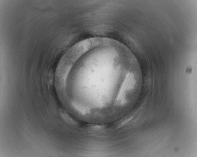 X0000090630081200708141443