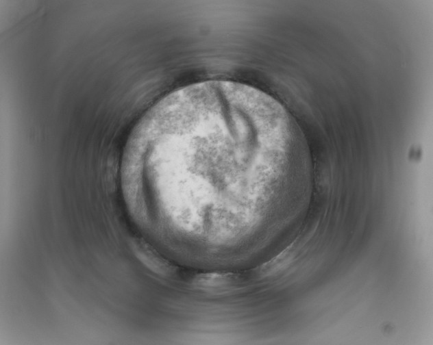 X0000090630082200708141443