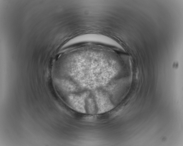 X0000090630084200708141443