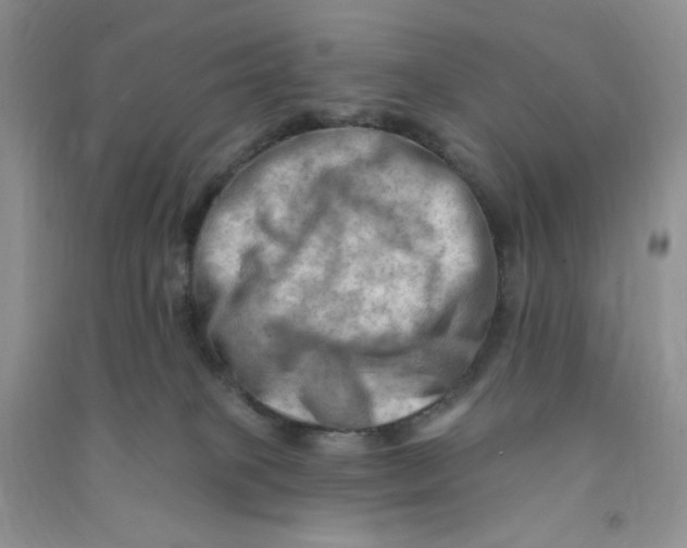 X0000090630085200708141443