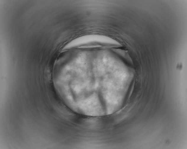 X0000090630086200708141443