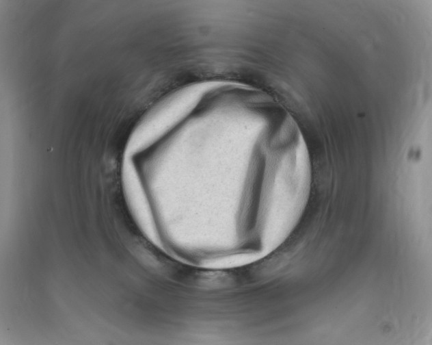 X0000090630087200708141443