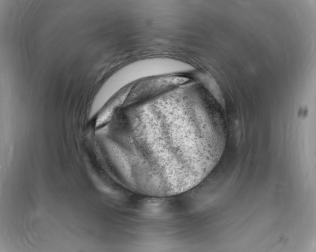 X0000090630088200708141443