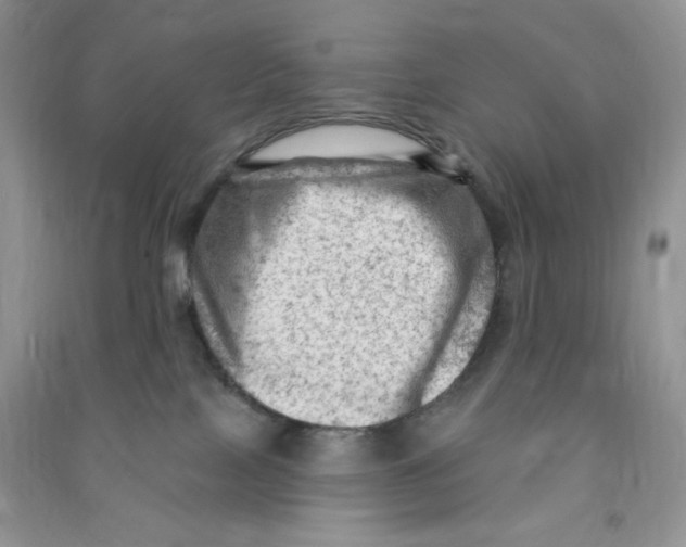 X0000090630089200708141443