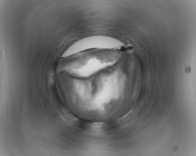 X0000090630090200708141443