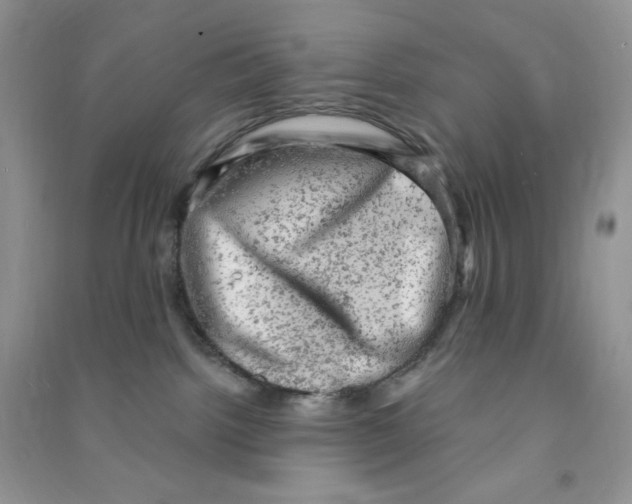 X0000090630092200708141443