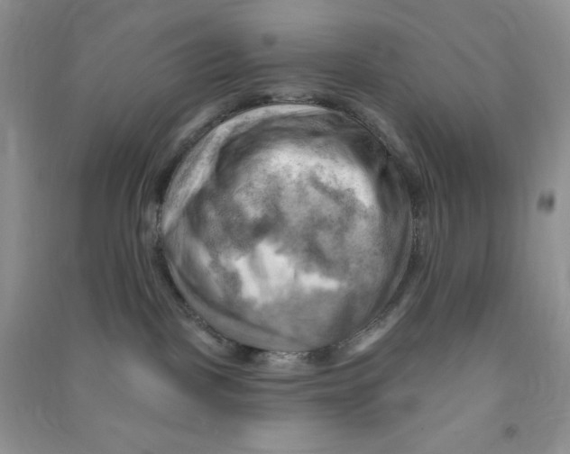 X0000090630093200708141443