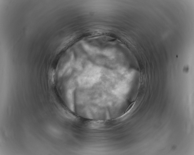 X0000090630094200708141443